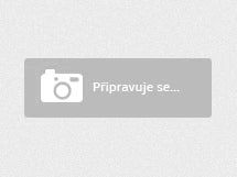 Mammillaria longimamma v. paulii Realejo, SLP - 10 seeds